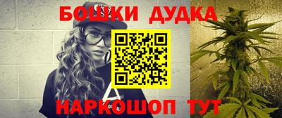 сатива Кандалакша